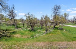 TBD Lot 18 Birnam Wood Lane, Belle Fourche, SD 57717