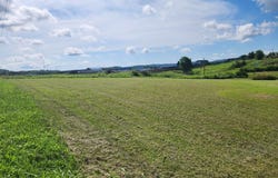 250 Aubrie Blvd, Flemingsburg, KY 41041