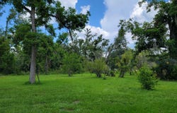 831 E US 27 Highway, Perry, FL 32348