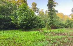 0 Spicy Run Road, Piketon, OH 45661