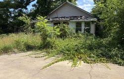 8804 Ward Street, Birch Tree, MO 65438