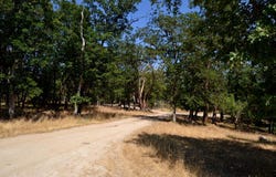 785 Harris Road, Grants Pass, OR 97526
