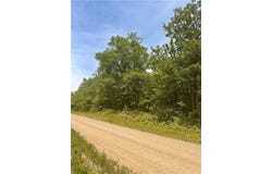Tbd County Road 157 NE, Remer, MN 56672