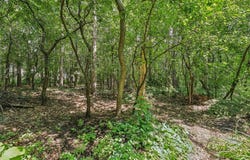 Pine Ridge Court, Portage, WI 53901