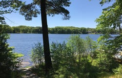 21249 Monroe Road, Morley, MI 49336