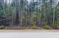Kauffman Road lot: 249, Presque Isle, MI 49777