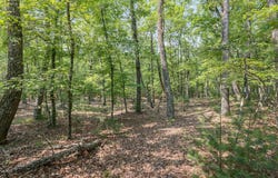 LOT 4 HIGHLAND DRIVE, HIGH VIEW, WV 26808