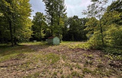 13542 E Campbell, Shingleton, MI 49884