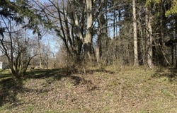 16802 Runyon Road, Buchanan, MI 49107