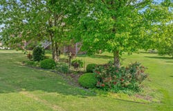 50 Terrace Drive, Rainsville, AL 35986