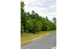 Lot 24 S Timberlake Ln, Hartsville, SC 29550