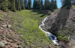 Road 51, Silverton, CO 81433