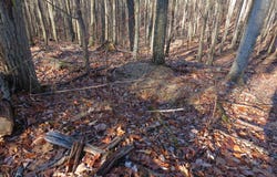 14A CEDARWOOD DRIVE ROAD, MATHIAS, WV 26812
