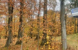 6449 Co Rd 21, Naples, NY 14512