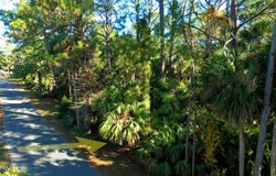 716 Marlin Drive, Fripp Island, SC 29920