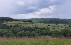 1395 Mountain Creek Road, Marble Falls, TX 78654