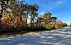 Lilly Ave., Houston, MO 65483