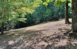 1.47 Acres Sibert Drive, Glencoe, AL 35905