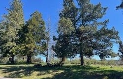 Crossbill Drive, Klamath Falls, OR 97601