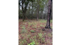 203 Fulton Lane, Ridgeland, SC 29936