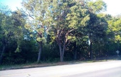 Hwy 74 E, Hamlet, NC 28345