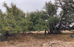 129 Big Buck Run Road, Menard, TX 76859