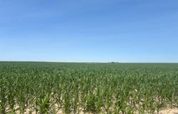 Road 6 & 56, Kanorado, KS 67741