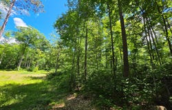 N11478 COTTAGE RD, Tomahawk, WI 54487
