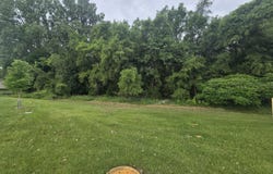 V/L E Washington Street, Greenville, MI 48838