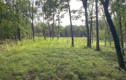 000 Wooley Creek Road, Cape Fair, MO 65624