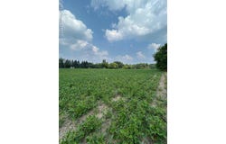 5438 N Henderson Road, Davison, MI 48423