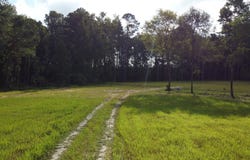 5 Grooms Rd, Cross, SC 29436