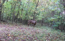 00 Stuck Rd, Marcellus, MI 49067