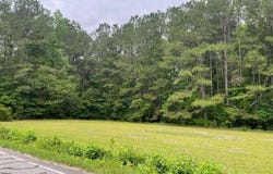 Point Caswell Road, Watha, NC 28478