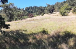 0 NW BROAD ST, Roseburg, OR 97471
