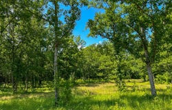 0 Peach Orchard Road, Brent, AL 35034