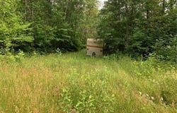 Tbd Mushgee Road, Sand Lake Twp, MN 56636