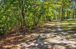 8127 Gabe (Lot 2) Road, Adams Run, SC 29426