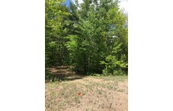 Shirley's Way lot: 7, Ausable Forks, NY 12912