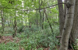 3657 Hallie Lane, Eau Claire, WI 54703