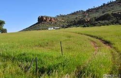 1364 Red Bluff Rd, Livermore, CO 80536
