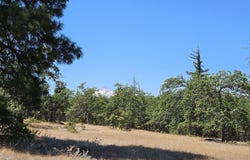 Ramsey RD, Dufur, OR 97021