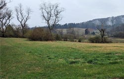 Antler Drive, McGrady, NC 28649