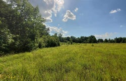 1306 CR 461, Piggott, AR 72454