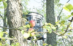 8457 Bentley Lake Road, Pinckney, MI 48169
