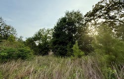 550 County Road 268, Newville, AL 36353