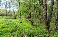 8480 Possum Hollow Road NW, Dundee, OH 44624