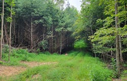 Tbd Spring Valley Rd, Elk Creek, VA 24326