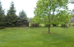 35 Belltower Lane, Henrietta, NY 14534