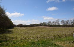 00000 CR 673, Lawrence, MI 49064